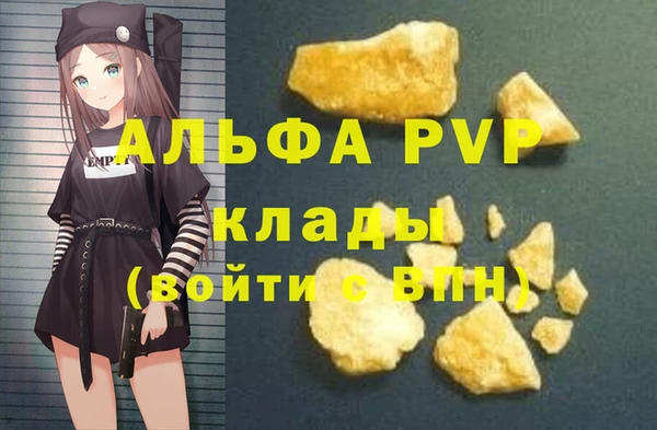 шишки Богородицк